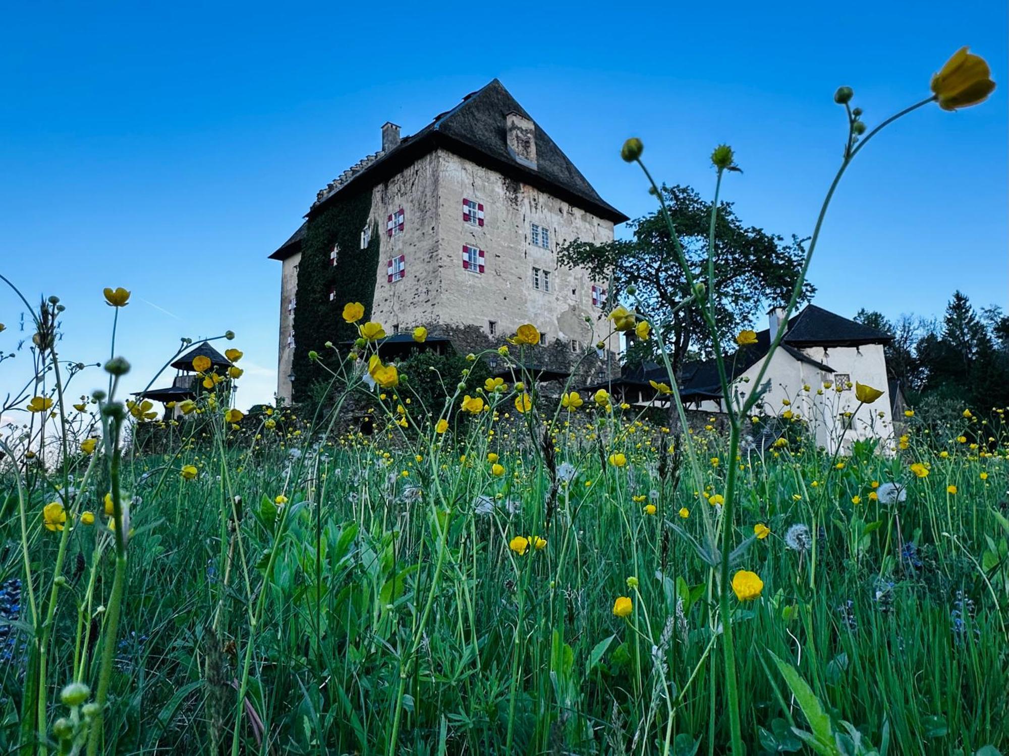 Schloss Moosburg Gaestehaus ภายนอก รูปภาพ